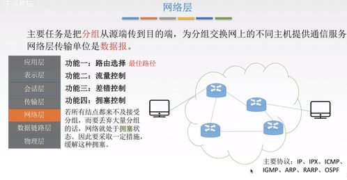 计算机网络体系结构 技术开发与服务的基石