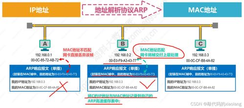 计算机网络入门基础篇 数据链路层（下）与相关技术开发服务